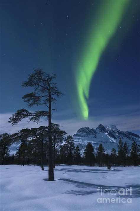 Moonlight And Aurora Over Nova Mountain Photograph By Arild Heitmann