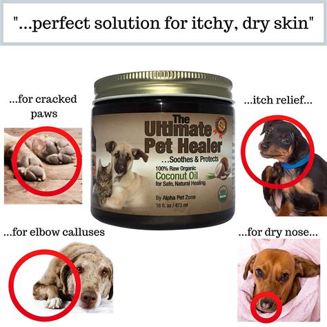 Is Coconut Oil Good For A Dogs Dry Nose