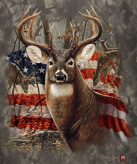 Diamond Painting North America Whitetail Deer Deer Pictures