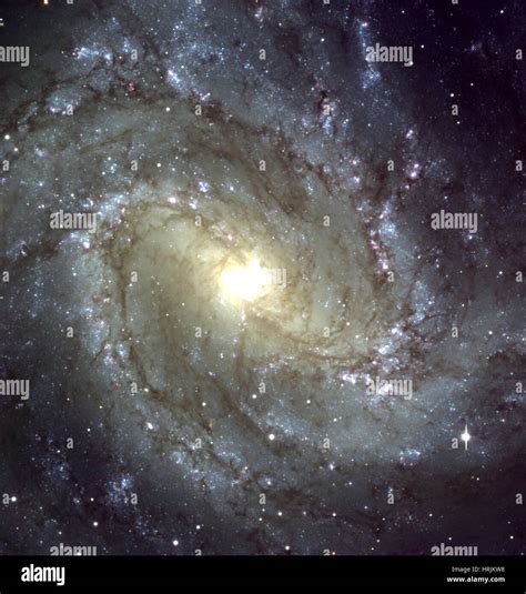 Southern Pinwheel Galaxy M83 Ngc 5236 Stock Photo Alamy