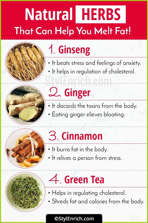 Different natural herbs and spices have a powerful effect on weight loss. Weight Loss Herbs That Can Help You Melt Fat Naturally!