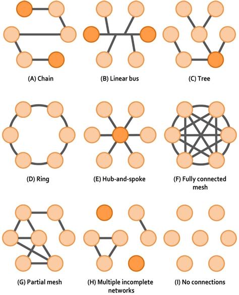 An Overview Of Basic Types Of Network Topologies Including The A