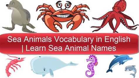 Learn Sea Animal Names Sea Animals Vocabulary In English Youtube