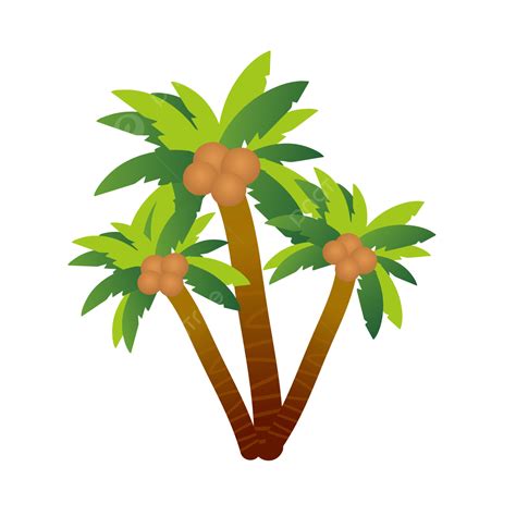 Coconut Palm Tree Clipart Png Images Beautiful Coconut Trees Coconut