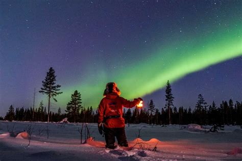 Northern Lights Tours Apukka Resort Rovaniemi Lapland