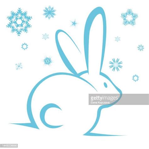 Snow Bunny Photos And Premium High Res Pictures Getty Images