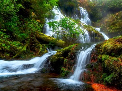 Natural Falls Wallpaper Free Download Cascading Forest Waterfall