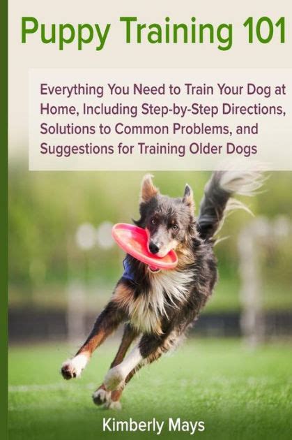 Puppy Training 101 Everything You Need To Train Your Dog At Home