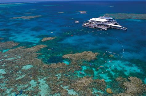Great Barrier Reef Tour Pontoon Platform Glass Bottom Boat Port