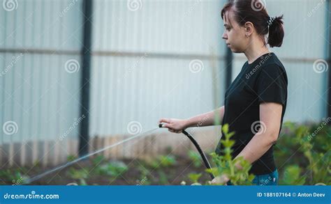 Woman Watering The Garden From Hose Female Spraying Water On