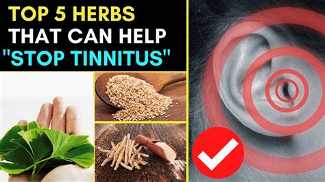 5 Herbs That Can Help To Stop Tinnitus Youtube