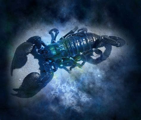 And of course, your sign can show you the way to an incredible life. Zodiac Symbols For Scorpio And Sign Meanings On Whats-Your ...