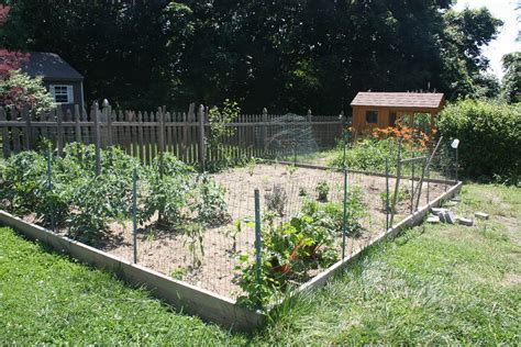 Make your own vegetable garden fencing with only a few supplies. Dog keeps pooping in the herb and veggie garden - really ...