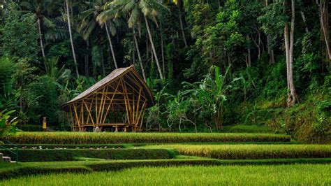 Beautiful Bamboo Pavilion In Bali Translates The Flexibility Of Yoga