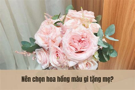 Top 20 Hoa Hồng Tặng Mẹ Hot Nhất