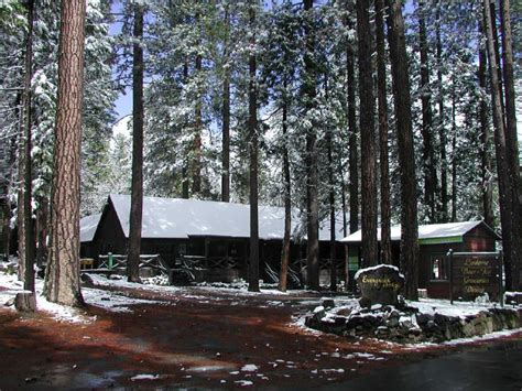 Evergreen Lodge Yosemite Review And Guide