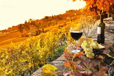 Fall Wine Tasting Tours Across Canada