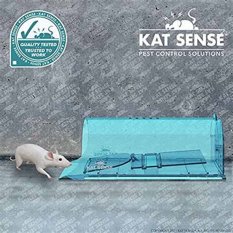 Kat Sense Large Humane Rat Traps, Set of 2, Catch and Release Chipmunks