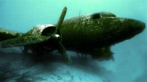 Wallpaper Sea Vehicle Airplane Fish Insect Green Wreck