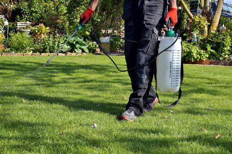 How To Make Homemade Weed Killer Lawn Care Guide By Lawn Love