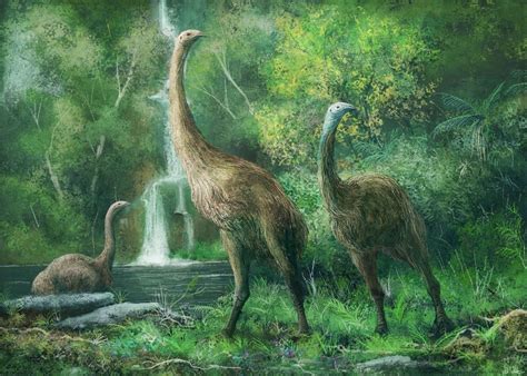 Mark Witton On Twitter Prehistoric Animals Ancient Animals Extinct