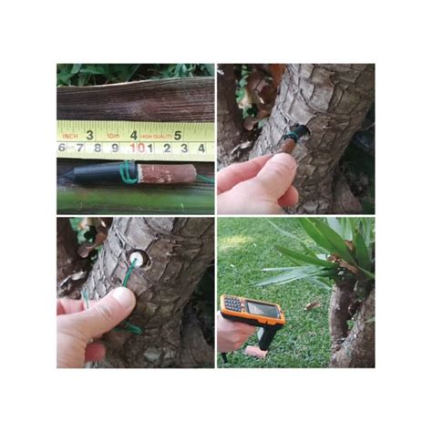 Rfid Tree Tags Best Choice For Tree Forest Mangement Goodwin