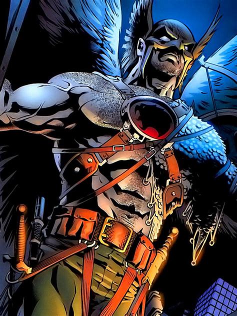 Hawkman Hawkman Dc Comics Superheroes Dc Comics