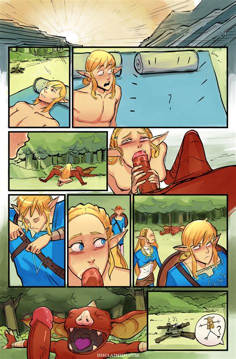 Post Bokoblin Breath Of The Wild Comic Disclaimer Legend Of Zelda Link Princess Zelda