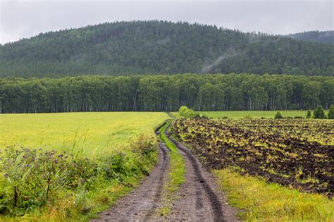 Road Through The Field Stock Photo Download Image Now Istock