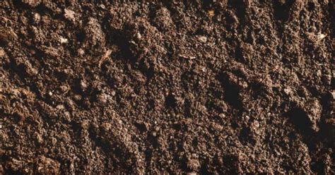 Acidic Soil What It Means And How To Deal With It