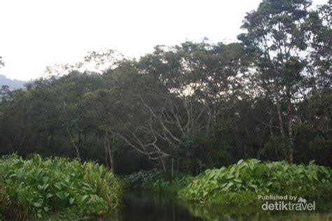 Rawa danau merupakan salah satu cagar alam yang dilindungi pemerintah. Wisata Rawa Dano Serang / 14 Tempat Wisata di Pandeglang Terbaru & Terhits Dikunjungi - Java ...