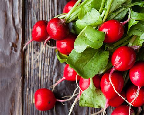 Late fall is when it is too late to plant sod in salt lake city, utah. Six Vegetables To Plant Late Summer | Premier Tech Home ...