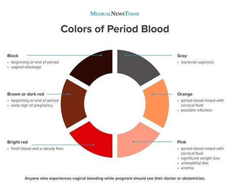 Arti Berbagai Macam Warna Darah Haid Bagi Kesehatan Hai Gadis