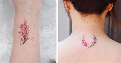 Gladiolus Tattoo Sortra