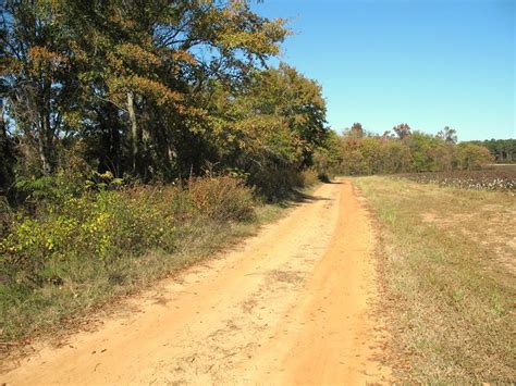 Red Dirt Road In Georgia Usa Chinaberries And Brush And We Flickr