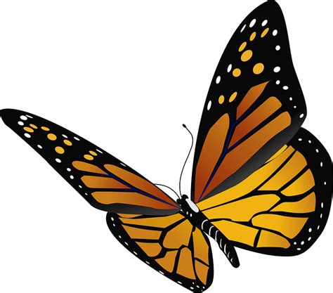Free Monarch Butterfly Clipart
