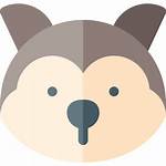 Fox Arctic Icon Icons Animals Edit