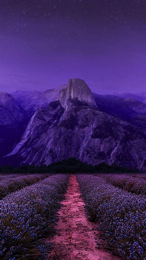 Nature Purple Iphone Wallpapers Top Free Nature Purple Iphone