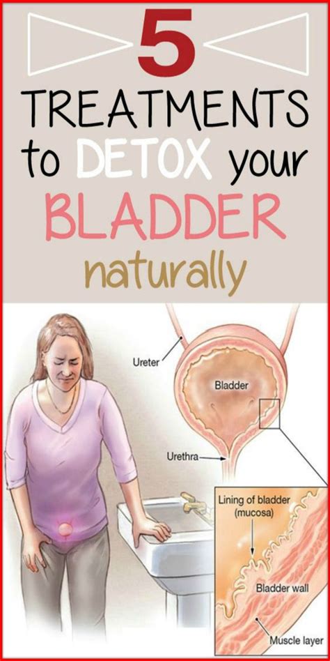 5 treatments to detox your bladder naturally bladder infection remedies bladder natural