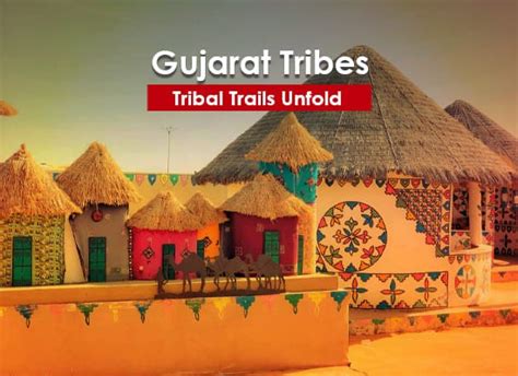 Mystic Gujarat Tribal Tour Packages