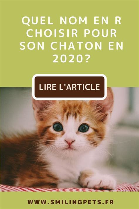 Noms de chat en R en 2020 en 2020 | Noms de chat, Chat femelle, Nom