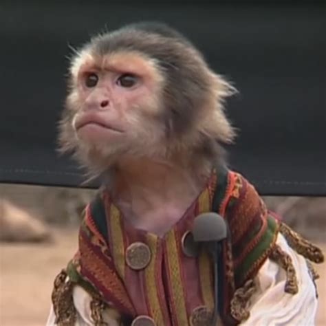 Jack the monkey, or simply jack. Dlisted | A Monkey Attacked Johnny Depp's Makeup Artist On ...