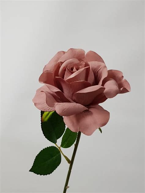 Open Bloom Rose Brown Pink 60cm Desflora
