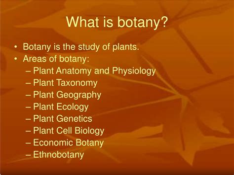 Ppt 221 Introduction To Botany Powerpoint Presentation Free