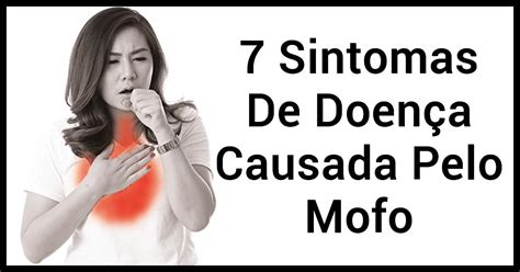 Bicho De Mofo Faz Mal A Saúde