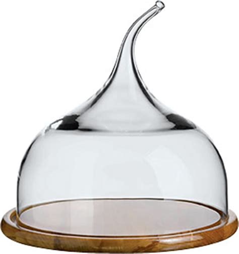 Turgla Home Senses Large Glass Dome With Wood Base Shopstyle Salt