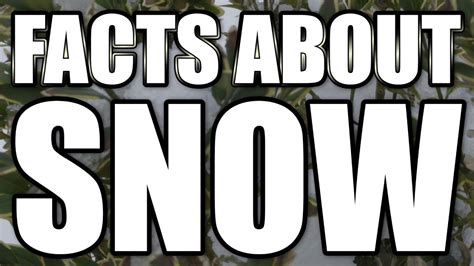 10 Interesting Facts About Snow Youtube
