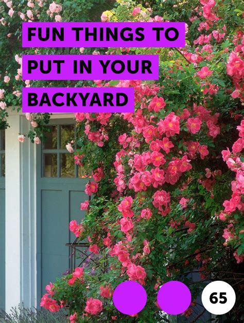 Learn Fun Things To Put In Your Backyard How To Guides Tips And