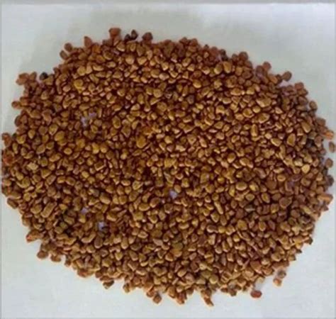 Turmeric Seeds At Best Price In India