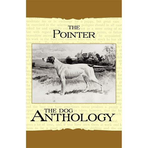 Vintage Dog Books Breed Classic The Pointer A Dog Anthology